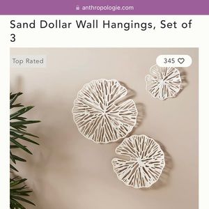 Anthropologie Sand Dollar Wall Hangings - set of 3